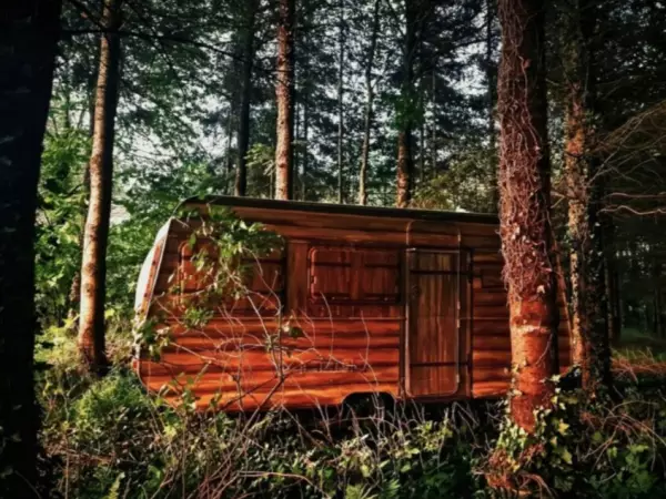 Escape The Caravan